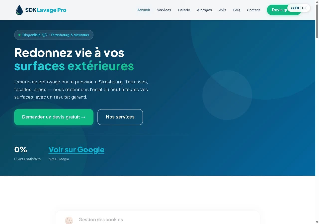 View of SDK Lavage Pro's public website.